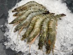 Premium Frozen Black Tiger Shrimp, Giant Freshwater Prawn & Seafood – HACCP, GMP, ISO Certified - Image 8